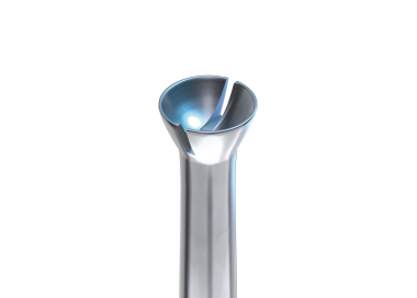 NIQUA - FRAISES CREUSES (2C2)