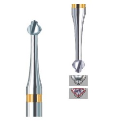 BUSCH - FRAISES-FORETS PAVECUT (447AU)