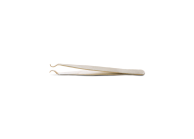 BRUCELLE A DESSOUDER