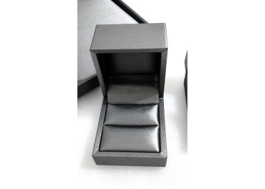 ECRIN ARGENT BROSSE / INT. ARGENT BROSSE (BAGUE)