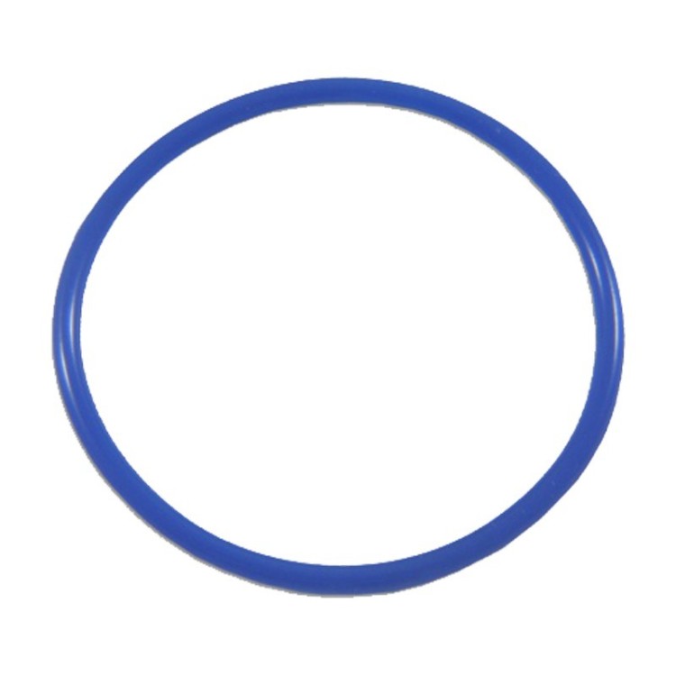 JOINT O-RING POUR CHAMBRE / INDUTHERM TYPE VC- Ø169MM (175MM x 7MM)